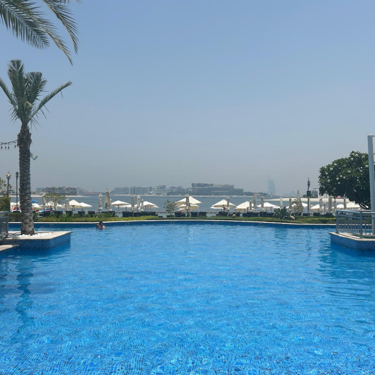 Turtle Tots at Riva Beach Club - Dubai